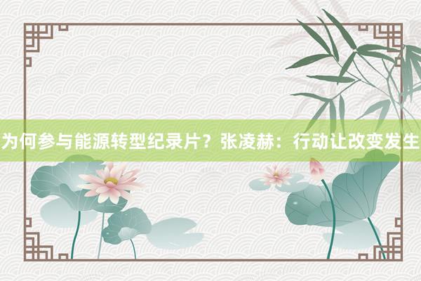 为何参与能源转型纪录片？张凌赫：行动让改变发生