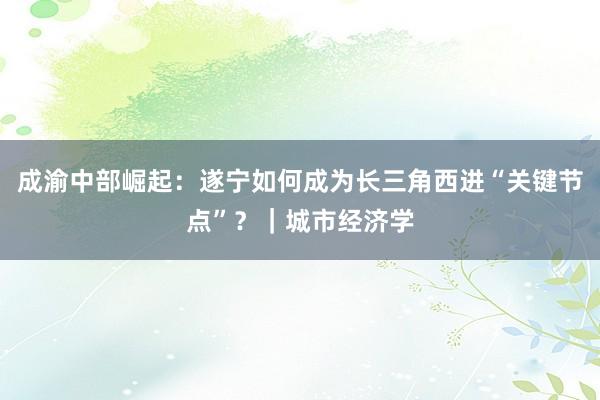 成渝中部崛起：遂宁如何成为长三角西进“关键节点”？｜城市经济学