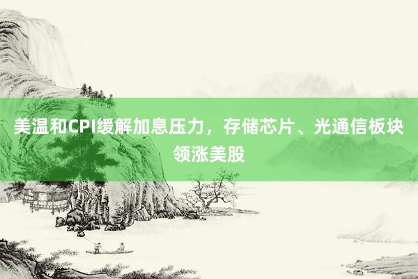 美温和CPI缓解加息压力，存储芯片、光通信板块领涨美股