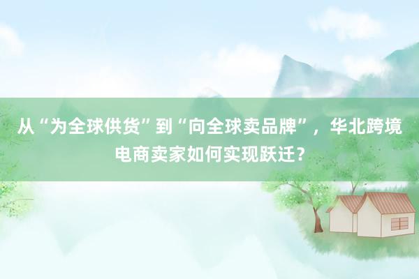 从“为全球供货”到“向全球卖品牌”，华北跨境电商卖家如何实现跃迁？