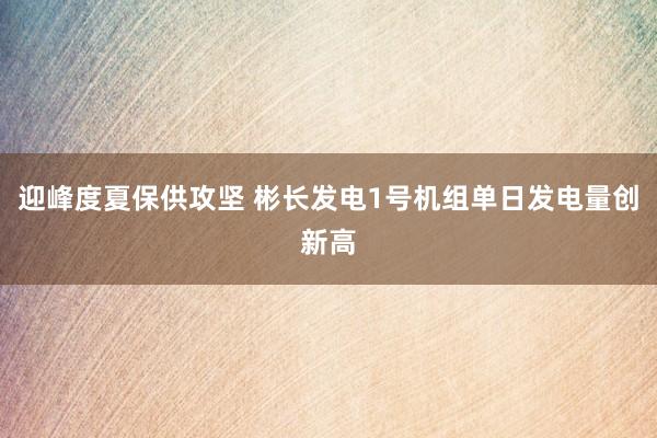 迎峰度夏保供攻坚 彬长发电1号机组单日发电量创新高