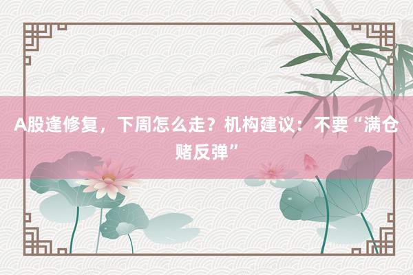 A股逢修复，下周怎么走？机构建议：不要“满仓赌反弹”