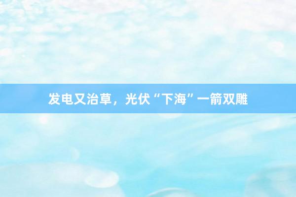 发电又治草，光伏“下海”一箭双雕