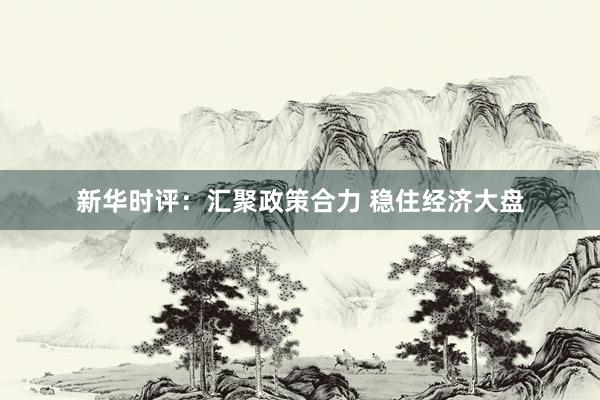 新华时评：汇聚政策合力 稳住经济大盘