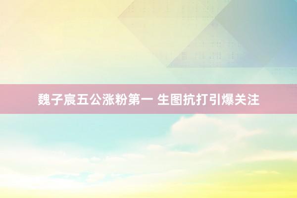 魏子宸五公涨粉第一 生图抗打引爆关注