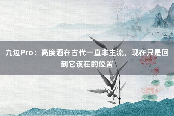 九边Pro：高度酒在古代一直非主流，现在只是回到它该在的位置