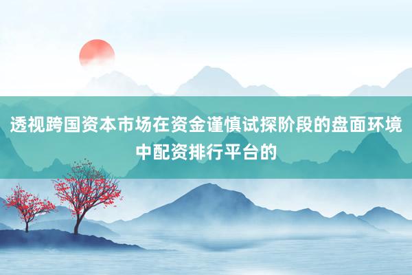 透视跨国资本市场在资金谨慎试探阶段的盘面环境中配资排行平台的