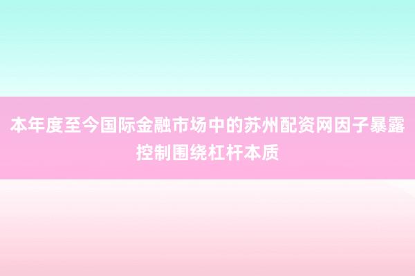 本年度至今国际金融市场中的苏州配资网因子暴露控制围绕杠杆本质