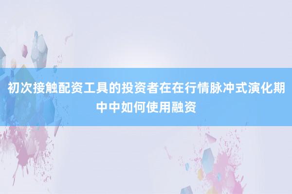 初次接触配资工具的投资者在在行情脉冲式演化期中中如何使用融资