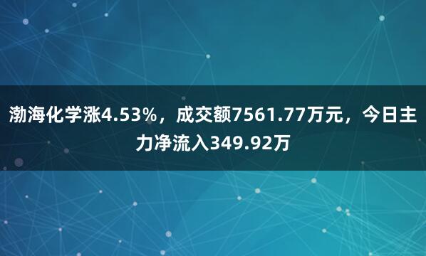 渤海化学涨4.53%，成交额7561.77万元，今日主力净流入349.92万