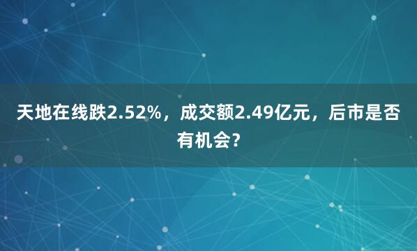 天地在线跌2.52%，成交额2.49亿元，后市是否有机会？