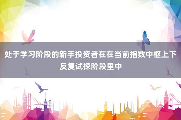 处于学习阶段的新手投资者在在当前指数中枢上下反复试探阶段里中