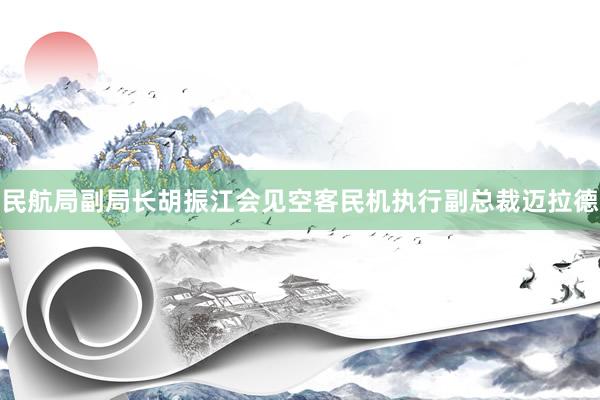 民航局副局长胡振江会见空客民机执行副总裁迈拉德