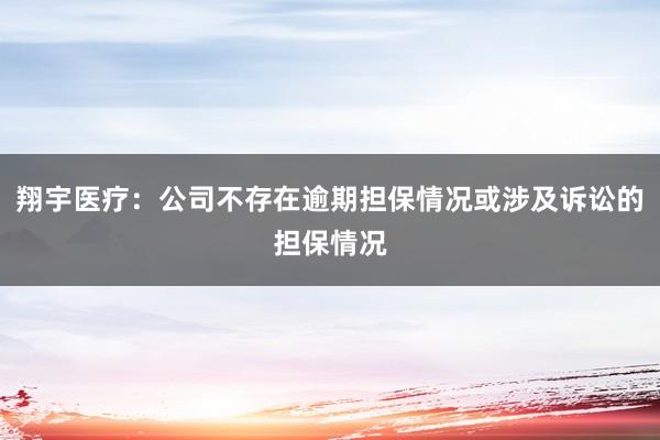翔宇医疗：公司不存在逾期担保情况或涉及诉讼的担保情况