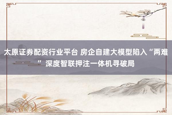 太原证券配资行业平台 房企自建大模型陷入“两难” 深度智联押注一体机寻破局
