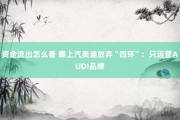 资金流出怎么看 曝上汽奥迪放弃“四环”：只运营AUDI品牌
