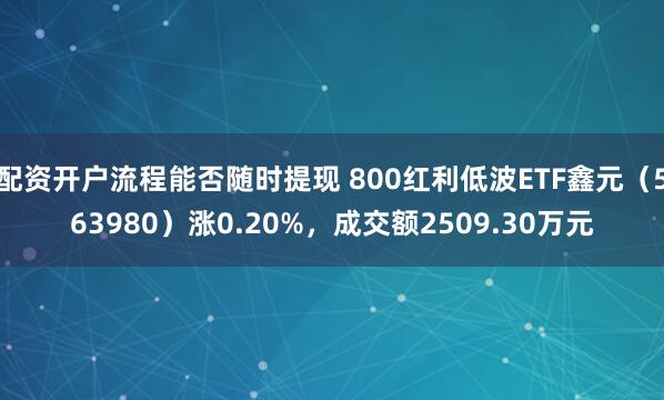 配资开户流程能否随时提现 800红利低波ETF鑫元（563980）涨0.20%，成交额2509.30万元