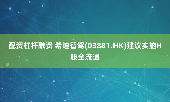 配资杠杆融资 希迪智驾(03881.HK)建议实施H股全流通