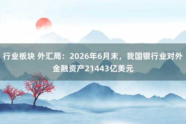 行业板块 外汇局：2026年6月末，我国银行业对外金融资产21443亿美元