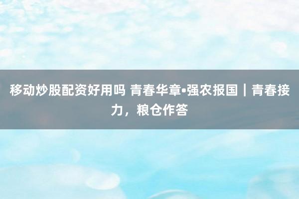 移动炒股配资好用吗 青春华章•强农报国｜青春接力，粮仓作答