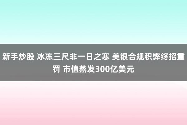 新手炒股 冰冻三尺非一日之寒 美银合规积弊终招重罚 市值蒸发300亿美元