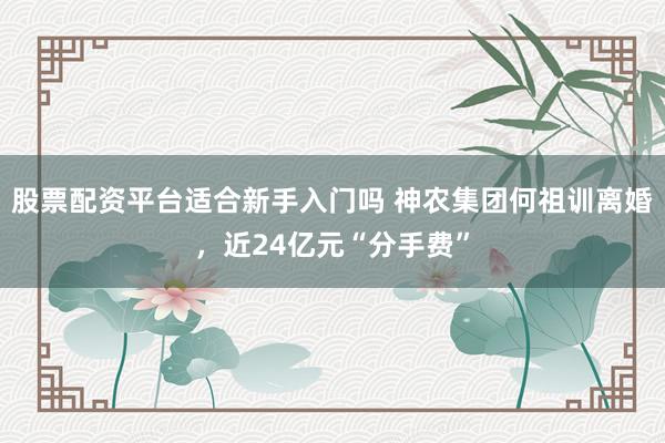 股票配资平台适合新手入门吗 神农集团何祖训离婚，近24亿元“分手费”